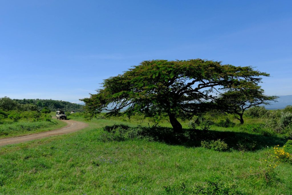 Freight truck on a road under blue sky with trusted movers in Kenya.